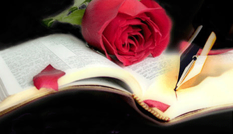 libro di poesie con rosa rossa